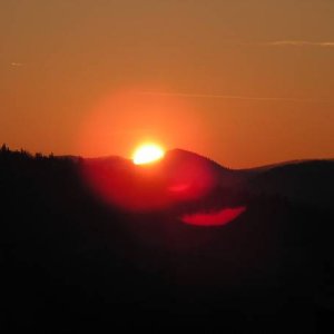 2005