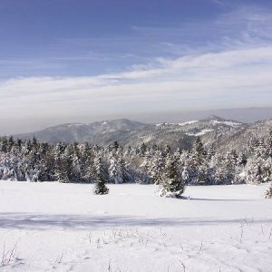 30.1.2005  12:24 / Zima v Štiavnických vrchoch