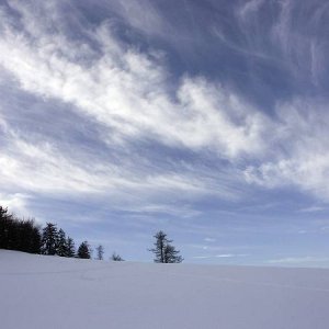 30.1.2005  14:20 / Zajtra bude snežiť...