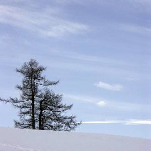30.1.2005  14:20 / Náladovka