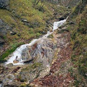 12.11.2004  22:27 / Jeseň v Malej Fatre