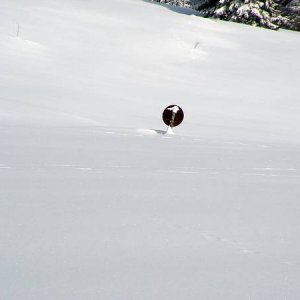 Zimný tábor Flajšová 2005 (19. až 26.2.2005)