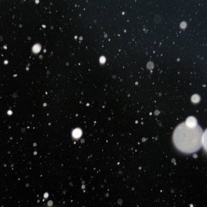 22.2.2005  19:51 / A zase sneží