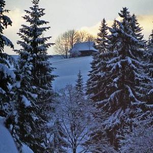 24.3.2005  23:11 / Romantika zimného večera