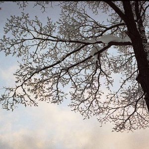 24.3.2005  23:12 / Strom
