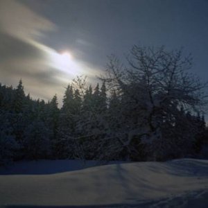 24.3.2005  23:12 / Nočná krása