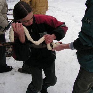 12.3.2005  12:30 / Šarkan natáča hada