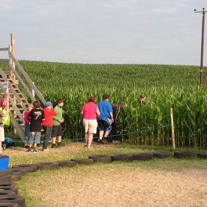 26.7.2005  19:23 / Večer sme boli vo veľmi zaujímavom kukuričnom bludisku