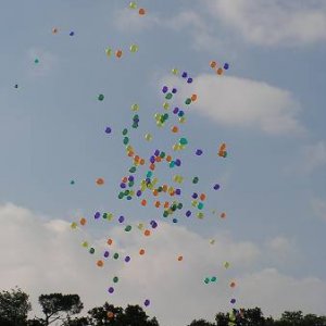 3.8.2005  9:28 / Veľa balónikov pri otváraní Európskeho dňa