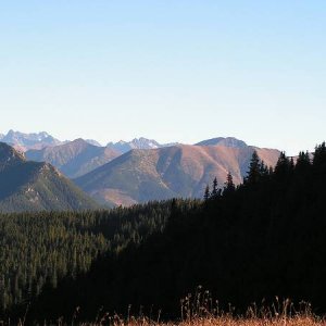 29.10.2005  13:36