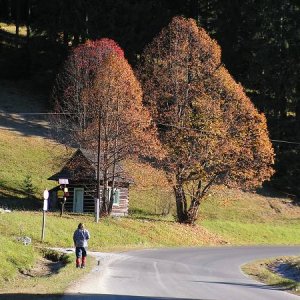 30.10.2005  10:55 / Miesto na ktoré sme sa museli dostať každý deň