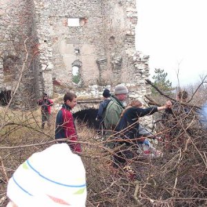 3.12.2005  14:58 / Práca šľachtí