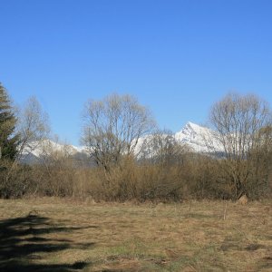 Kúsok od lúky sú výhľady na Tatry