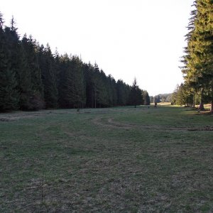 Rakša
