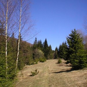 Výchylovka