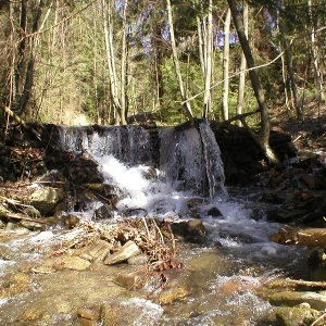 potok pri otočisku busov